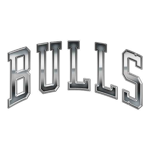 Chicago Bulls Silver Logo iron on paper